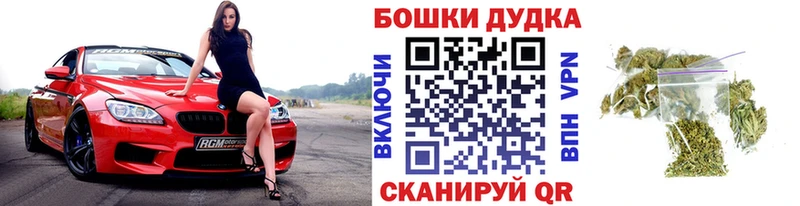 Сколько стоит Шадринск Галлюциногенные грибы  Гашиш  A PVP 