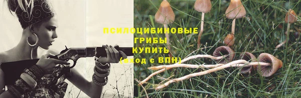 марки nbome Богданович