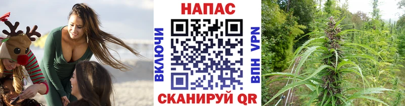 площадка Telegram купить цена Шадринск Бошки Шишки Bruce Banner